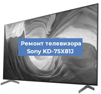 Замена динамиков на телевизоре Sony KD-75X81J в Воронеже